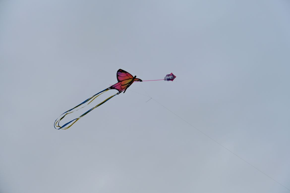 Drachenfest bearbeitet 03.jpg