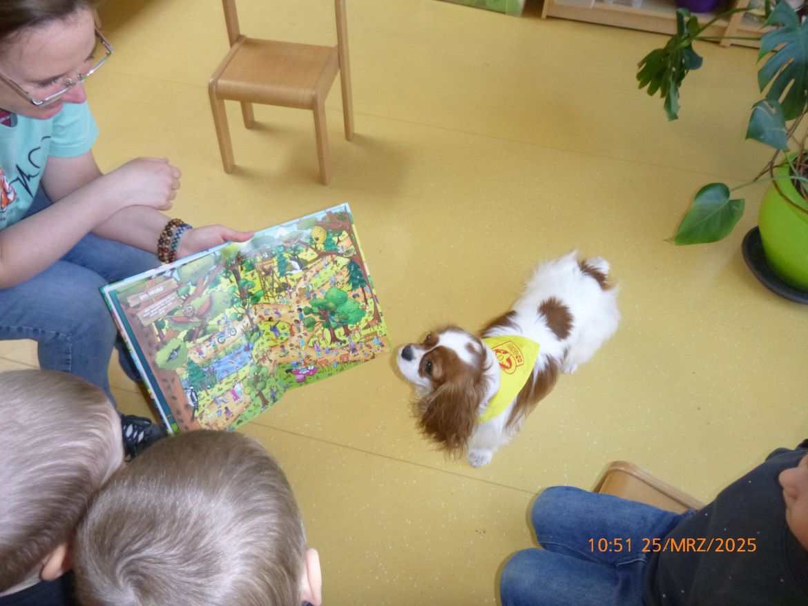 Bild 12 Hundestunde 2.JPG